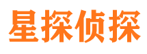 日土侦探公司